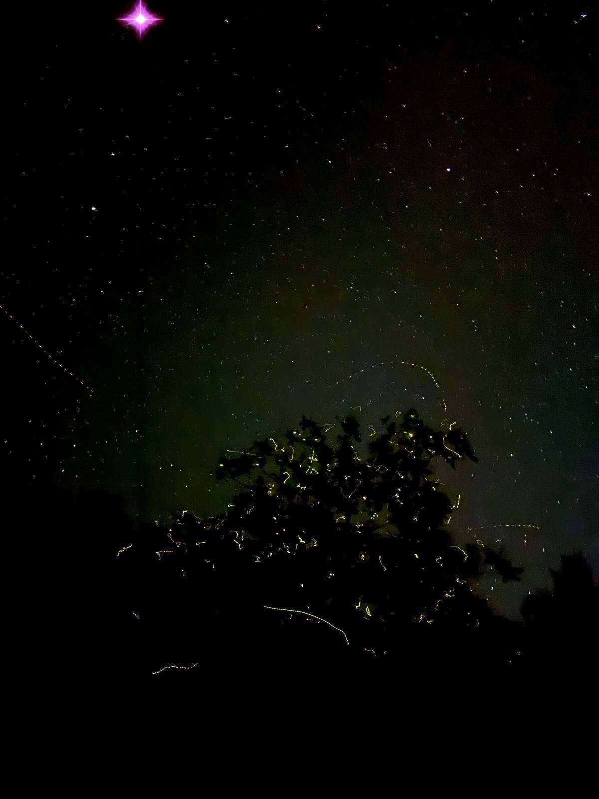 Fireflies and stars